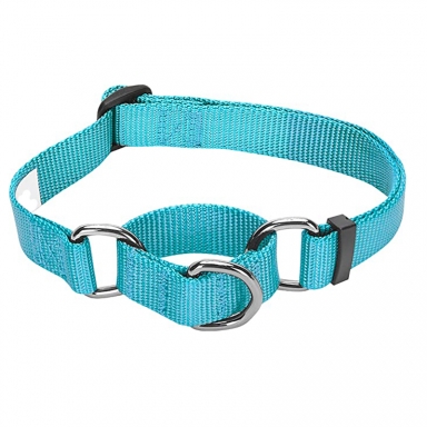 martingale dog collar
